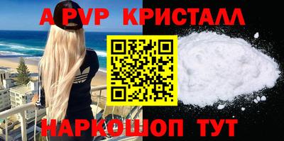 jwh Кингисепп