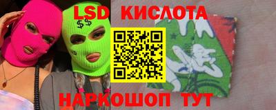 jwh Кингисепп
