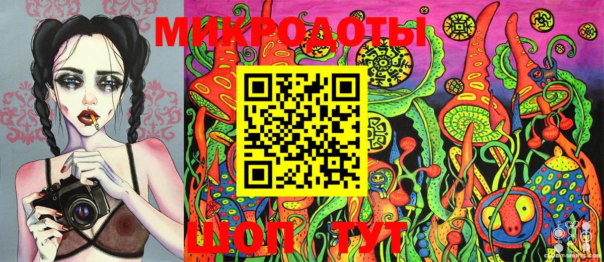 Киселёвск  Псилоцибиновые грибы Psilocybe  Псилоцибиновые грибы мицелий  Вход с VPN 