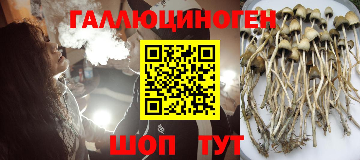 Галлюциногенные грибы GOLDEN TEACHER Киселёвск